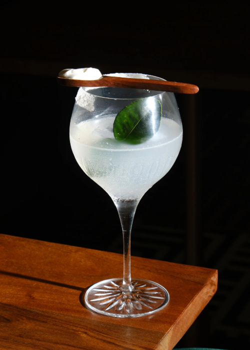 Cocktail day, sector 144, jp nagar, yuki, panacota